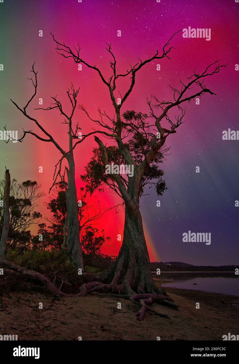 Aurora Australis lumières du sud solaire tempête arc-en-ciel avec reflets, capturé de Gorringes Bach près de Hobart, Tasmanie, Australie Banque D'Images