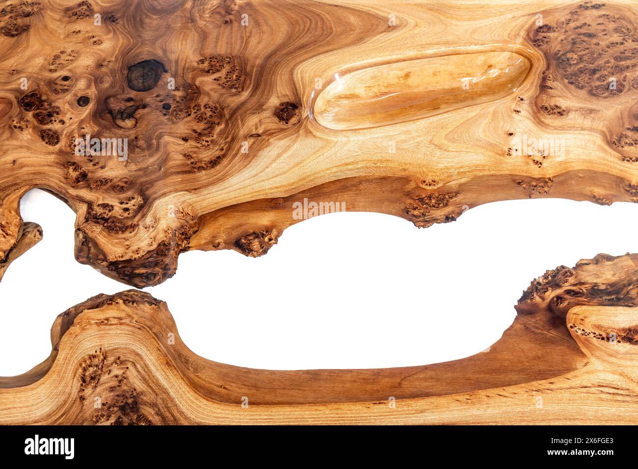 Plateau de table Live Edge en ronce d'orme avec rivière centrale en résine époxy sur fond blanc, combinant le bois naturel avec un matériau synthétique Banque D'Images