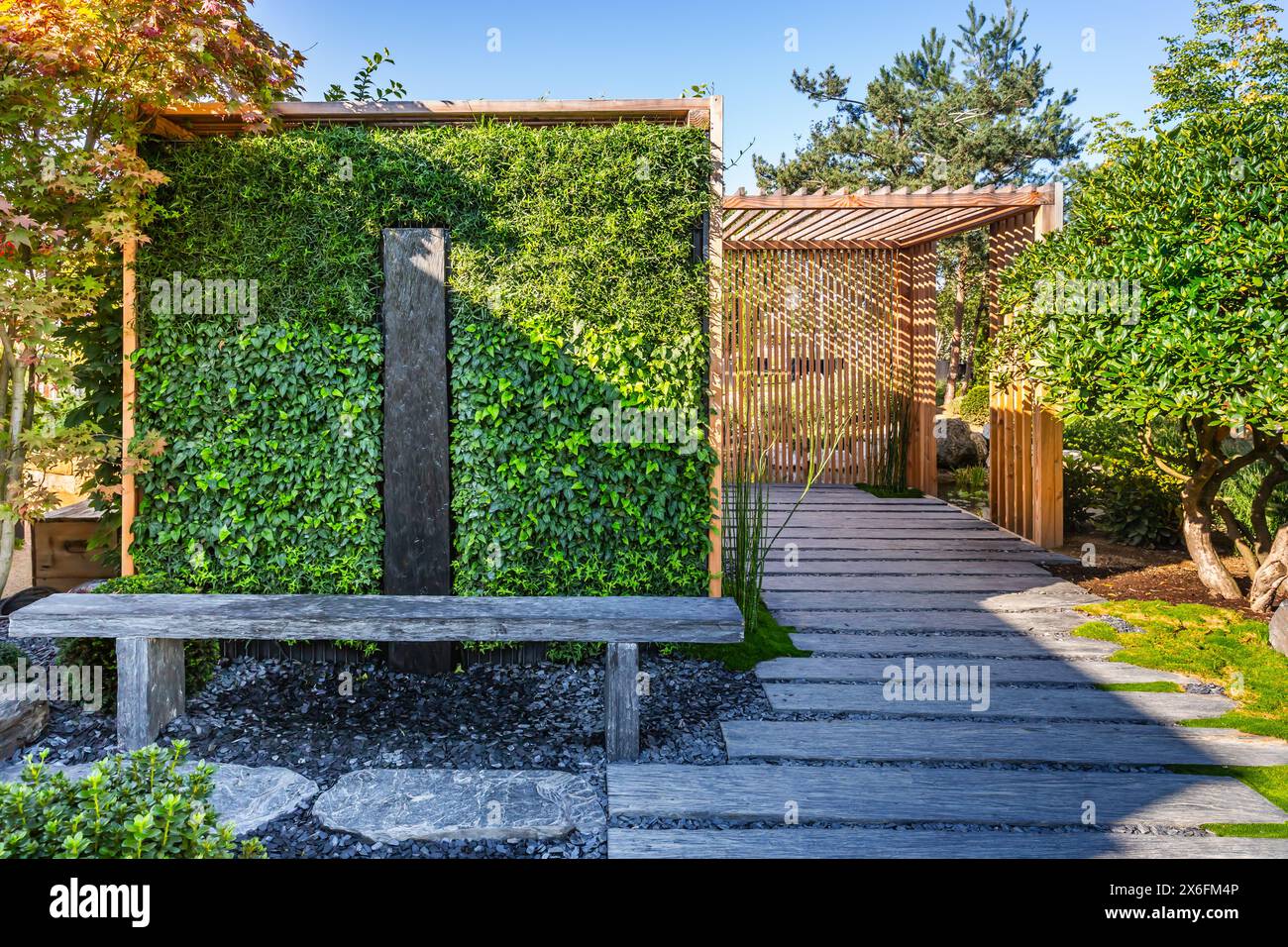 Chemin de conifères et d'ardoise avec paillis d'écorce et plantes indigènes dans le jardin japonais. Aménagement paysager et jardinage. Banque D'Images