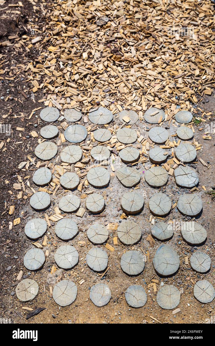 Chemin de jardin en planches de bois naturel, pierres, gravier. Chemin sensoriel sain avec différentes surfaces. Banque D'Images