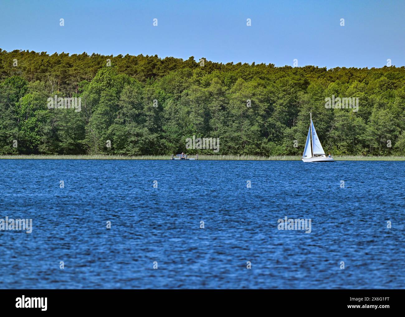 14 mai 2024, Brandebourg, Diensdorf-Radlow : vue sur le lac Scharmützelsee depuis la rive est. Selon les autorités, les eaux de baignade du Brandebourg sont d'excellente qualité au début de la saison balnéaire. Les autorités sanitaires des districts et des villes indépendantes ont évalué 230 sur 251 comme étant d'excellente qualité, a annoncé dimanche le ministère de la protection des consommateurs à Potsdam. L'eau du lac Scharmützel est également d'excellente qualité. Le plan d'eau dans la région de Storkower Land, également appelé le Märkisches Meer par Fontane, est le plus grand lac du Brandebourg avec Banque D'Images