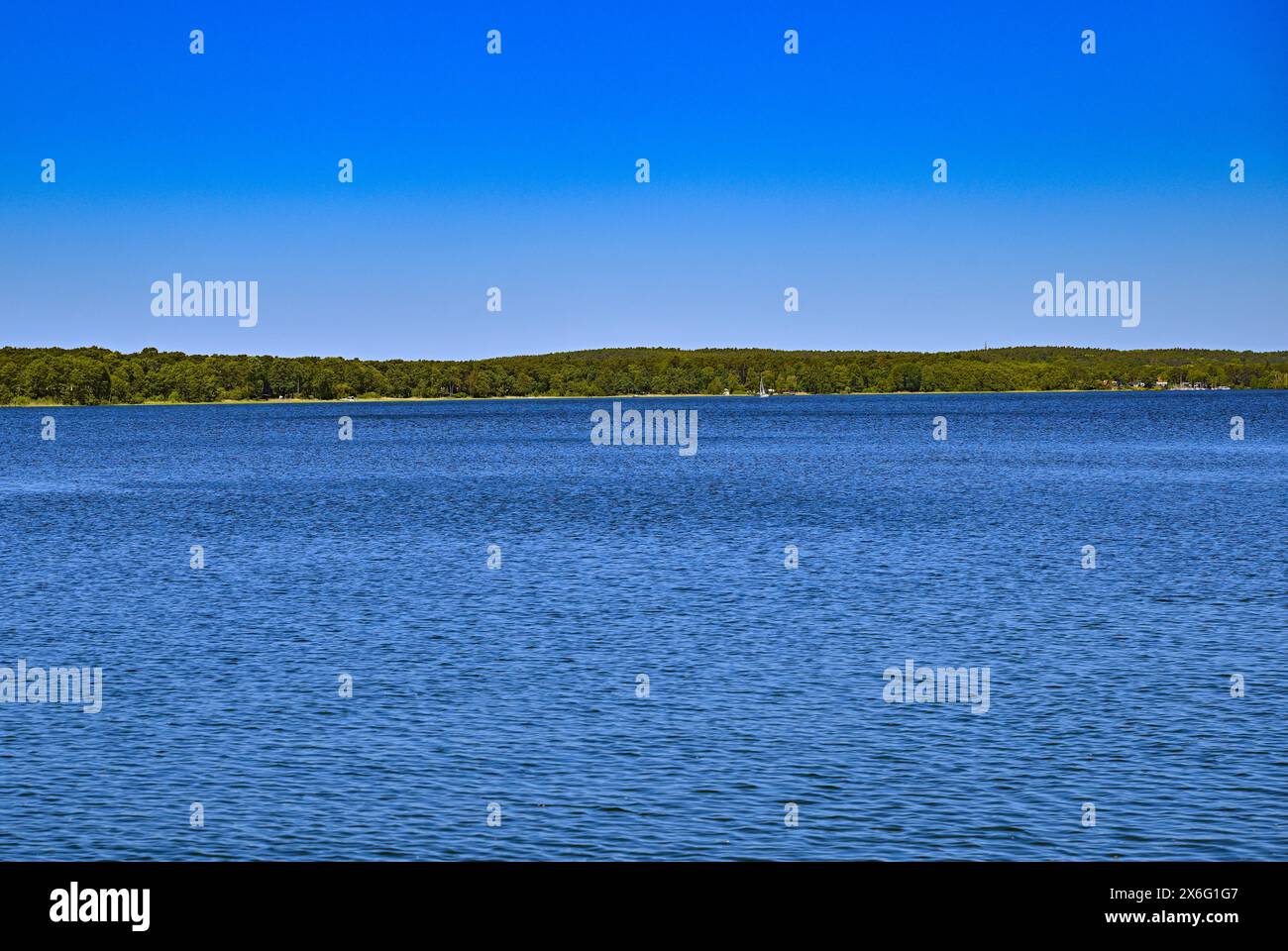 14 mai 2024, Brandebourg, Diensdorf-Radlow : vue sur le lac Scharmützelsee depuis la rive est. Selon les autorités, les eaux de baignade du Brandebourg sont d'excellente qualité au début de la saison balnéaire. Les autorités sanitaires des districts et des villes indépendantes ont évalué 230 sur 251 comme étant d'excellente qualité, a annoncé dimanche le ministère de la protection des consommateurs à Potsdam. L'eau du lac Scharmützel est également d'excellente qualité. Le plan d'eau dans la région de Storkower Land, également appelé le Märkisches Meer par Fontane, est le plus grand lac du Brandebourg avec Banque D'Images
