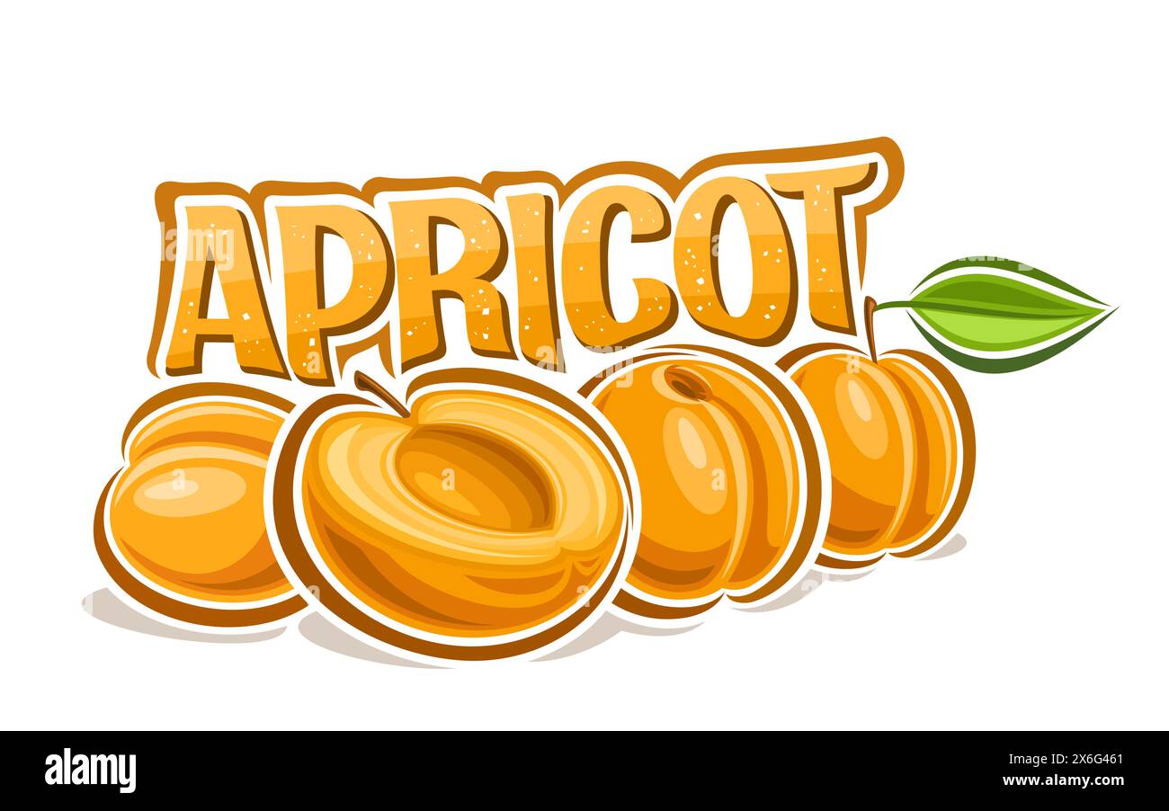 Logo vectoriel pour abricot, affiche horizontale décorative avec illustration de contour de la composition d'abricot avec feuille verte sur tige, dessin animé fruité Illustration de Vecteur