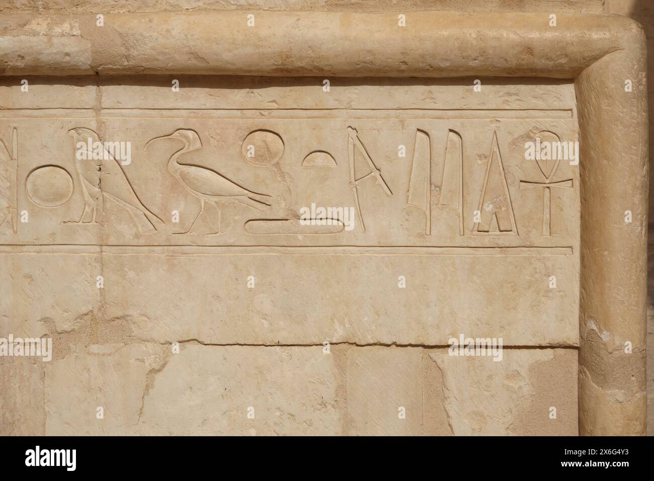 Reliefs au temple d'Hatshepsout à Deir el Bahari, Cisjordanie, Louxor Égypte Banque D'Images
