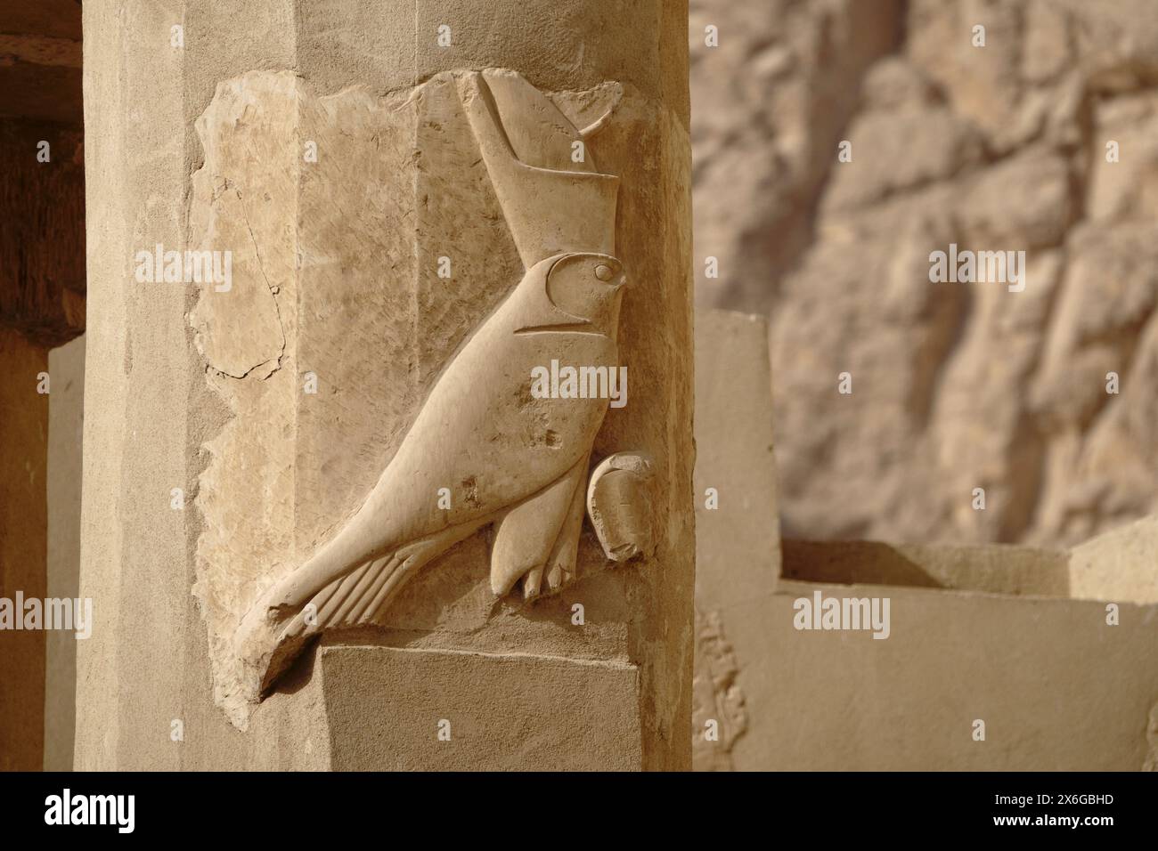 Temple d'Hatshepsout à Deir el Bahari, Cisjordanie, Louxor Égypte Banque D'Images