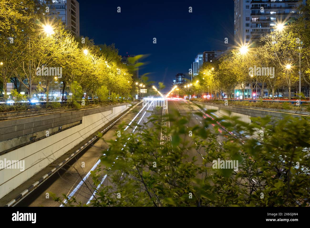 Vue panoramique nocturne de l'avenue Paseo de la Castellana dans la ville de Madrid, Espagne, Europe. Arbre au premier plan et stries de lumière provenant de c Banque D'Images