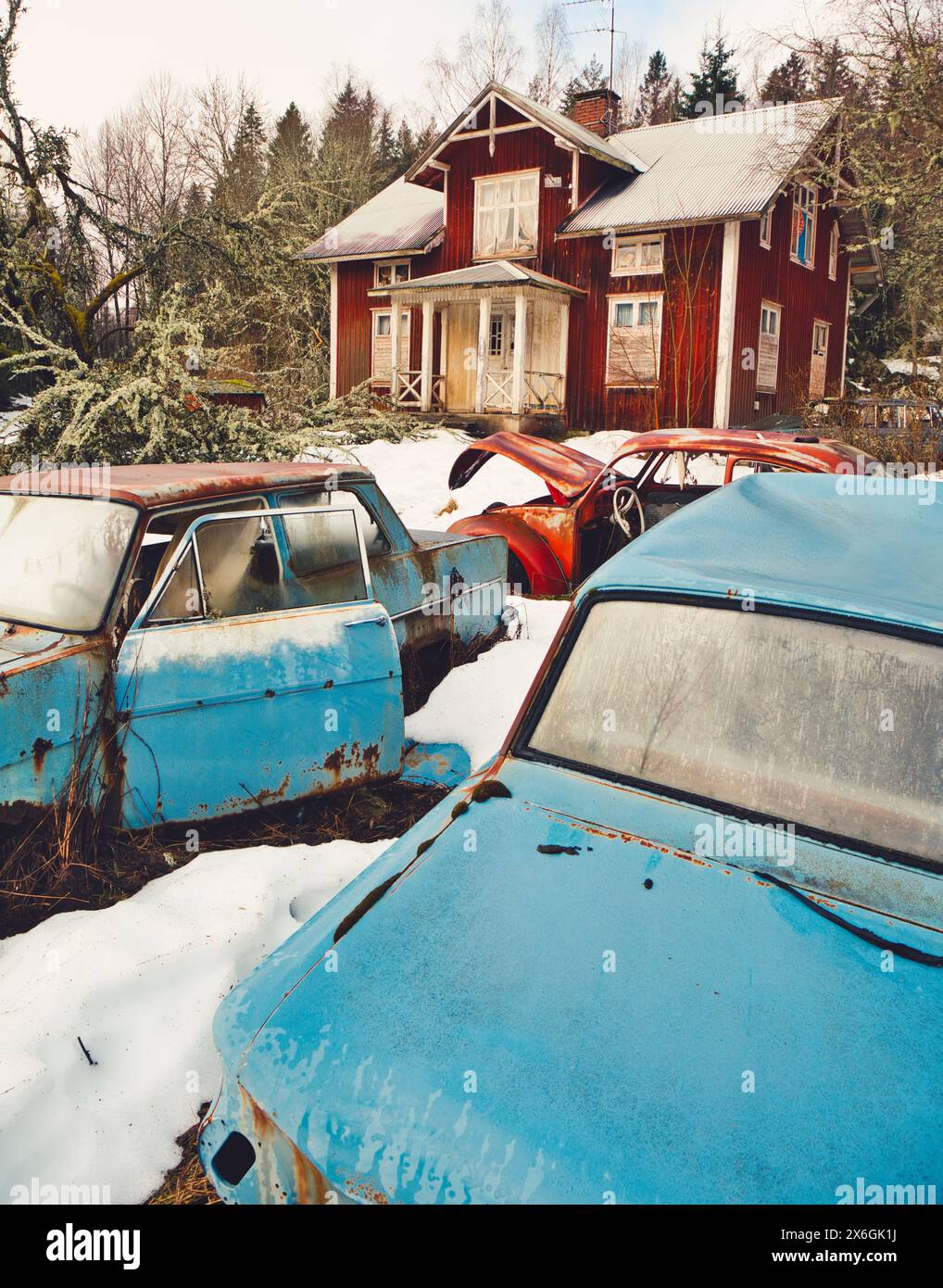 Abandonnée, déserte, négligée voitures rétro vintage classiques rouillées devant la maison rouge falu, cimetière de voitures de Bastnas, Varmland, Suède. Banque D'Images