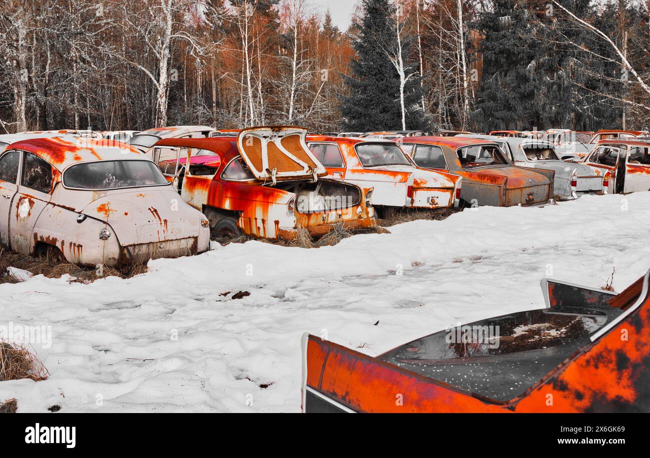 Abandonnée, déserte, négligée voitures rétro vintage classiques rouillées automobiles dans la neige, cimetière de voitures de Bastnas, Varmland, Suède. Banque D'Images