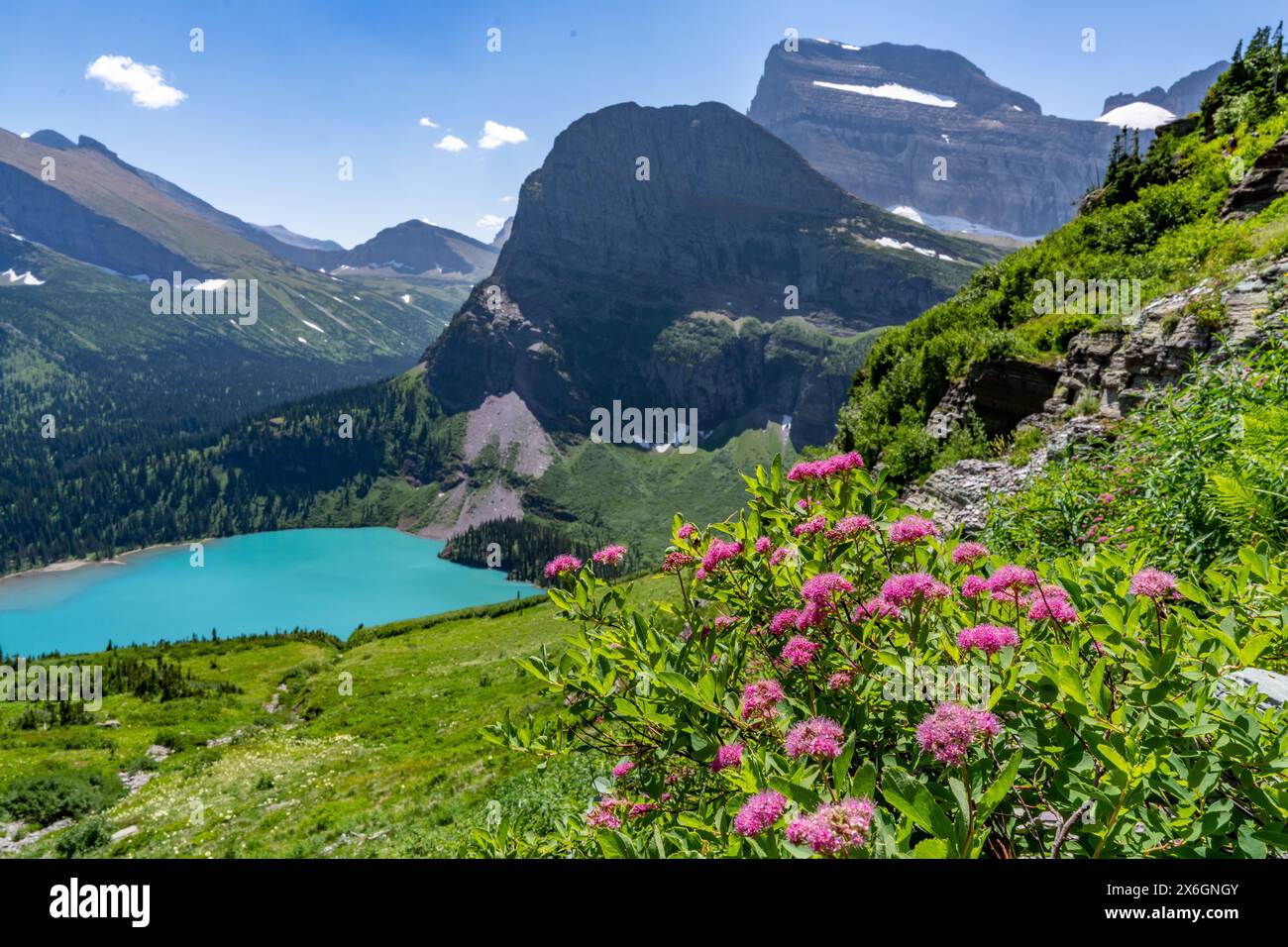 spiraea subalpine, Angel Wing et Grinnell Lake Banque D'Images