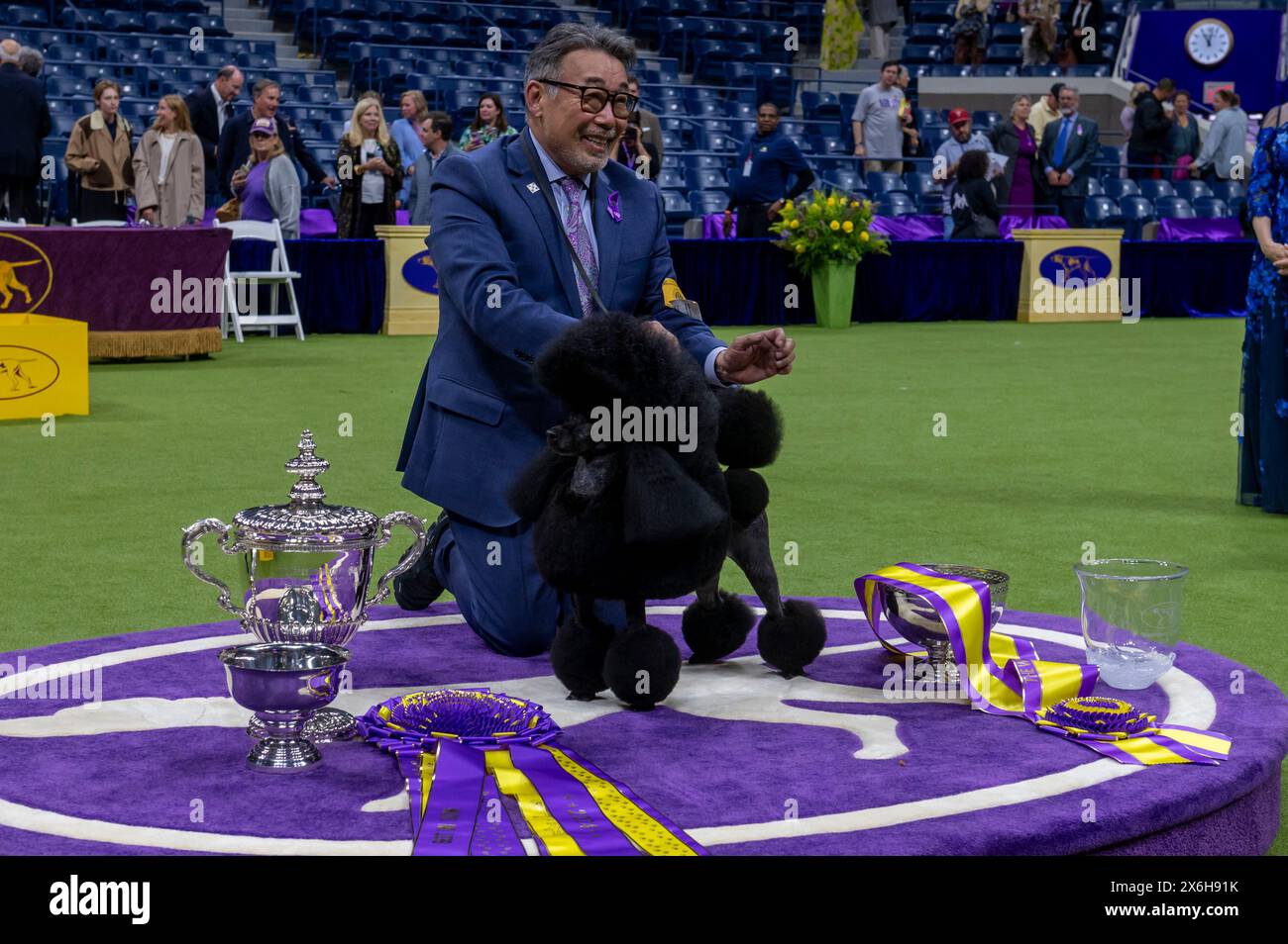 New York, New York, États-Unis. 14 mai 2024. (NOUVEAU) Westminster Kennel Club est couronné meilleur en exposition à l'exposition canine annuelle. 14 mai 2024, New York, New York, États-Unis : Handler Kaz Hosaka Poise avec Surrey Sage, également connu sous le nom de "Sage", un caniche miniature de Houston, Texas, dans la compétition Best in Show lors du 148e Westminster Kennel Club Dog Show au USTA Billie Jean King National Tennis Center dans le Queens le 14 mai 2024 à New York. (Crédit : M10s/TheNews2) (Foto : M10s/Thenews2/Zumapress) (crédit image : © Ron Adar/TheNEWS2 via ZUMA Press Wire) USAGE ÉDITORIAL SUR Banque D'Images