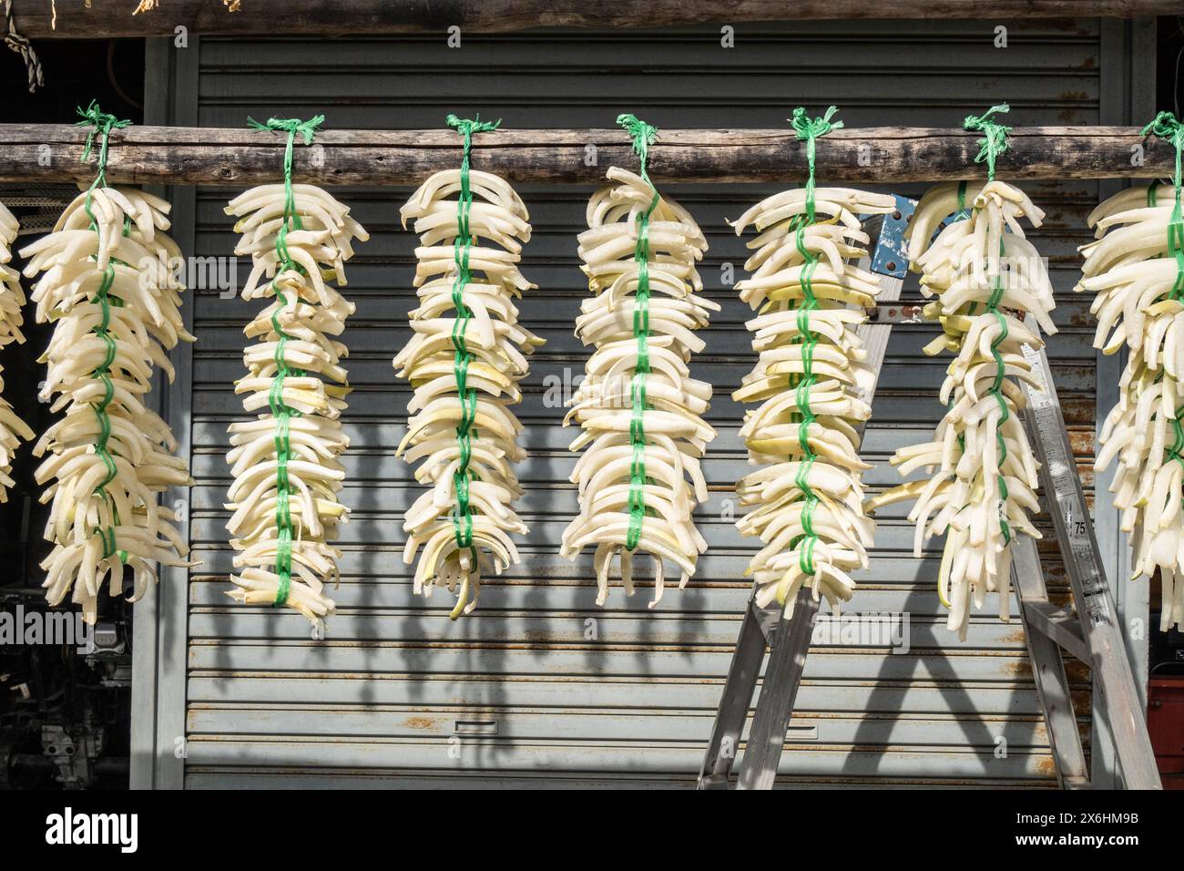 Daikon séchant sur le sentier Yamanobe no Michi, Nara, Japon Banque D'Images