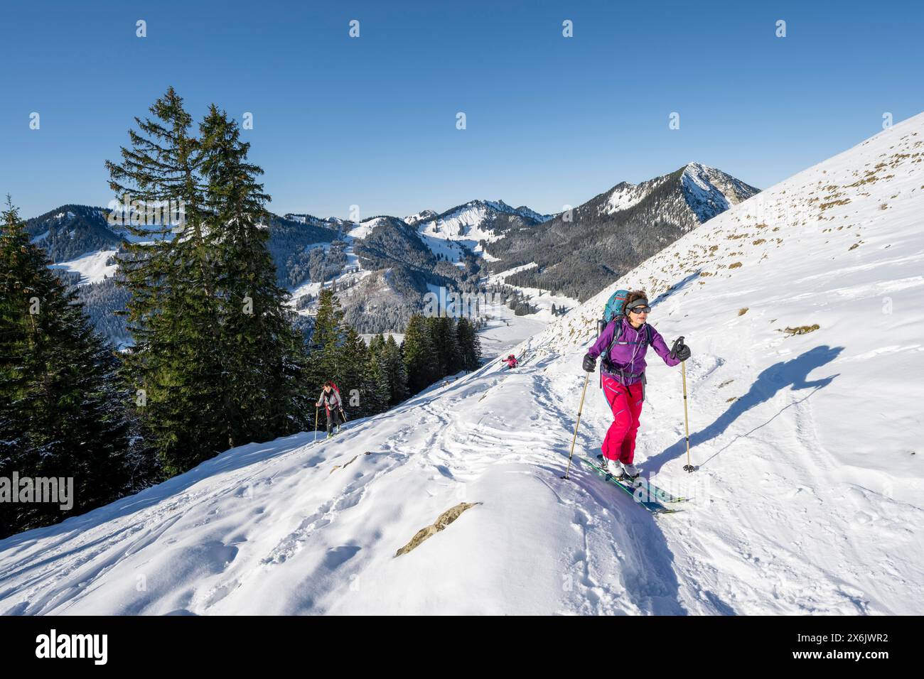 Randonneur de ski grimpant l'Aiplspitz, les montagnes de Mangfall, les Préalpes bavaroises, la Bavière, le Tyrol Banque D'Images