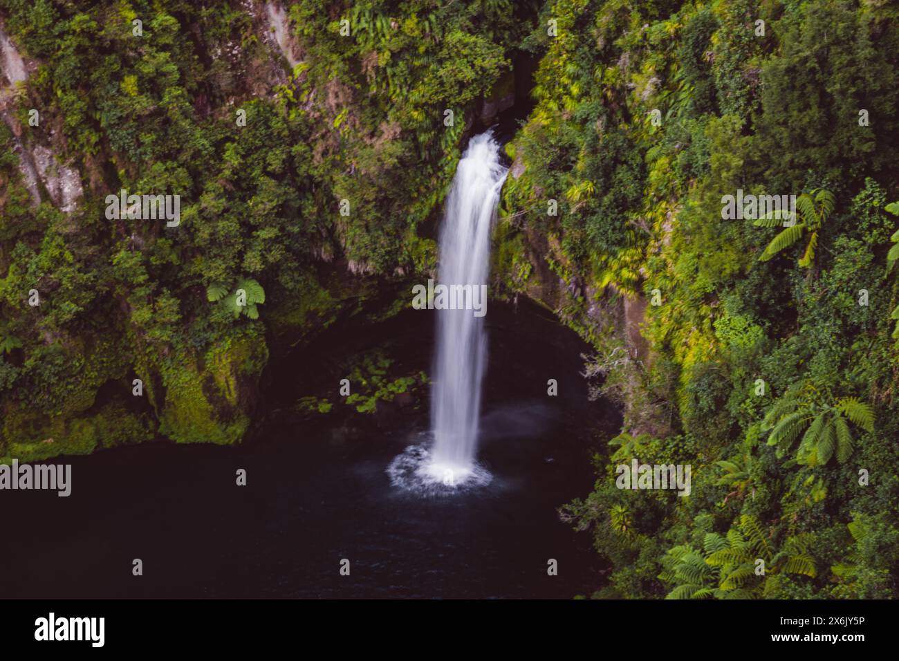 Chute d'eau d'Omanawa Falls près de Tauranga, Nouvelle-Zélande. La nature tropicale entoure la cascade Banque D'Images