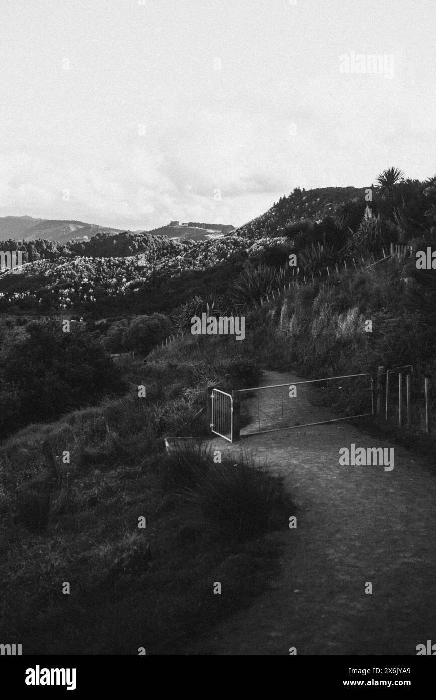 Vue en noir et blanc d'un chemin avec clôture et fond vallonné Banque D'Images