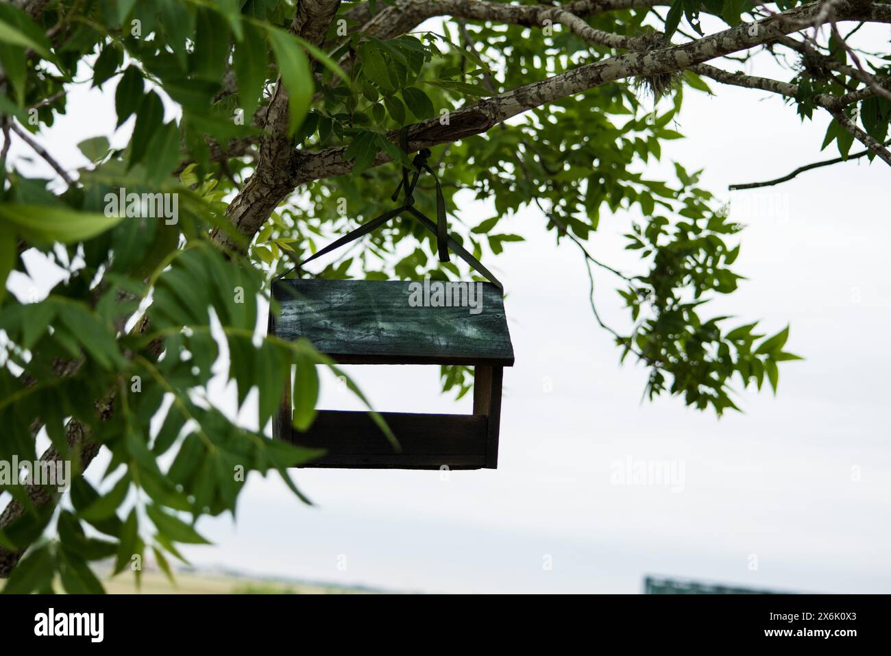 Cabane d’oiseaux Banque D'Images
