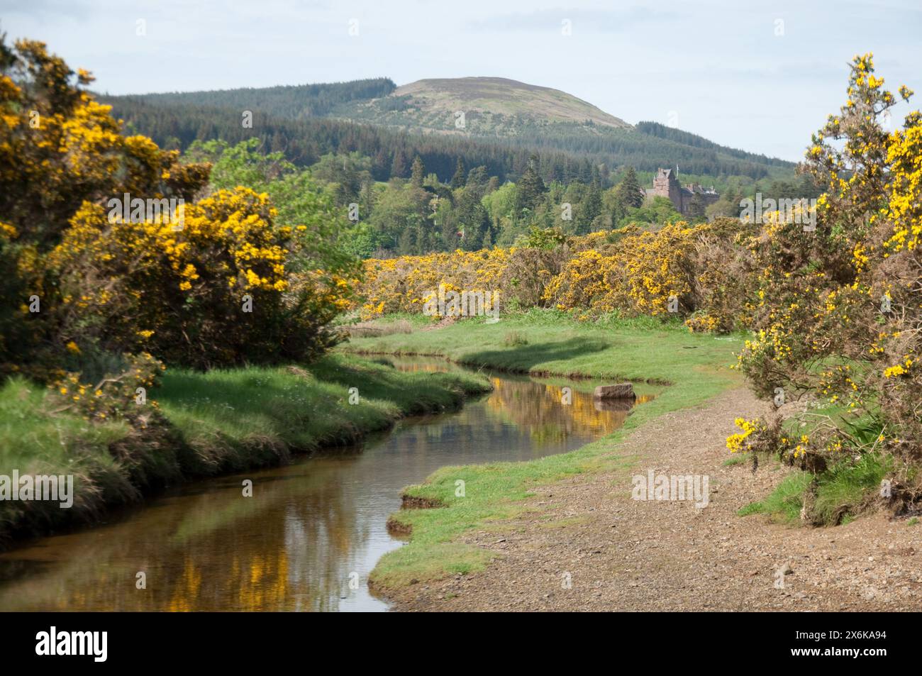 Belle campagne, NR. Brodick, île d'Arran, Écosse, Royaume-Uni, petit ruisseau, gorse buissons, montagnes; Banque D'Images