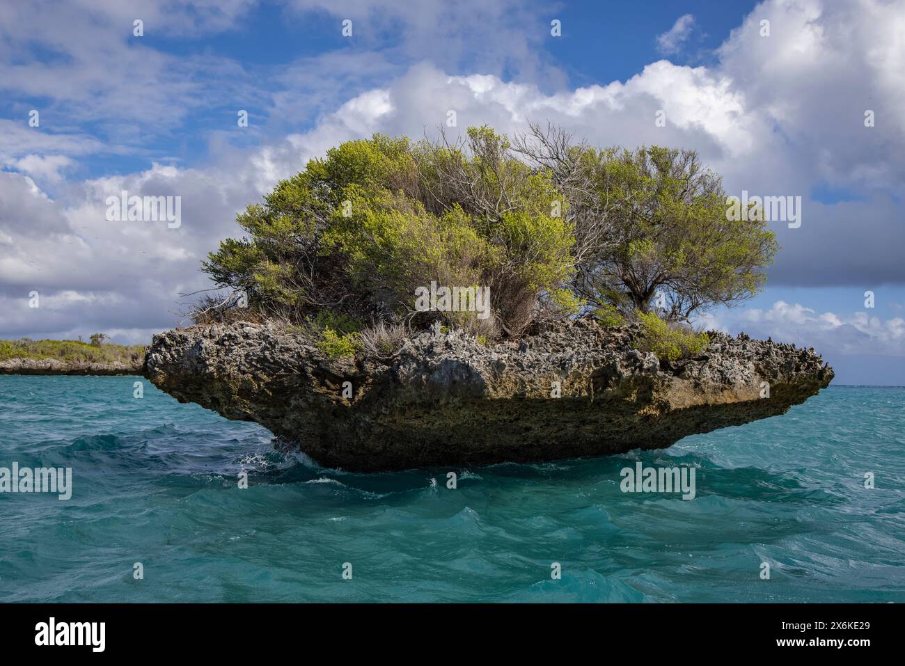 Île de corail appelée champignon en raison de sa forme de champignon dans le lagon, l'atoll d'Aldabra, les Seychelles extérieures, les Seychelles, l'océan Indien Banque D'Images