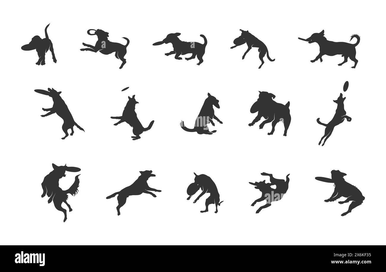 Silhouette de chien Frisbee, chien Frisbee, silhouette de capture de chien Frisbee, silhouette de chien sautant. Illustration de Vecteur