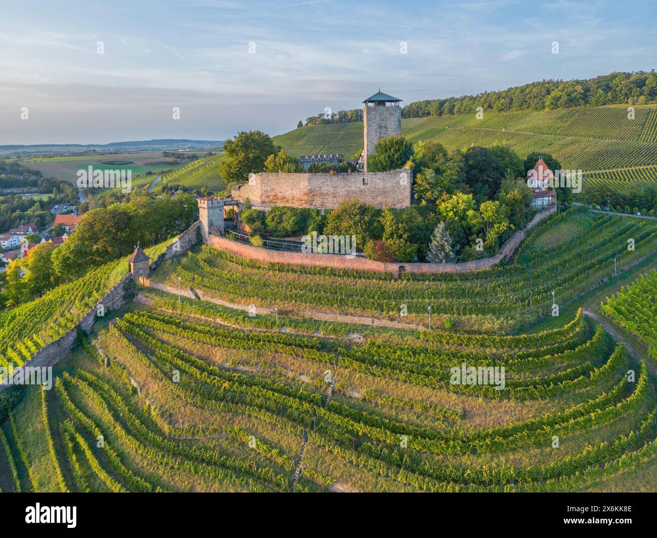 Vue aérienne du Burgfalknerei Hohenbeilstein en soirée, Beilstein, Neckar, Neckartal, Württembergische Weinstrasse, Baden-Württemberg, Allemagne Banque D'Images