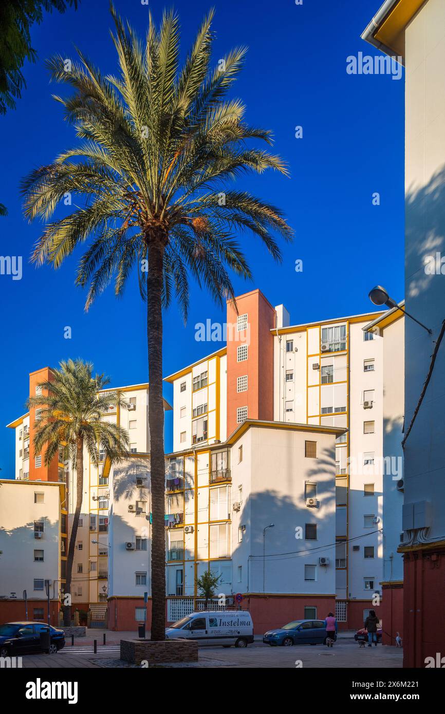 Les logements publics des années 1950 se trouvent dans El Tardón de Triana, un témoignage de l’histoire urbaine de Séville. Banque D'Images