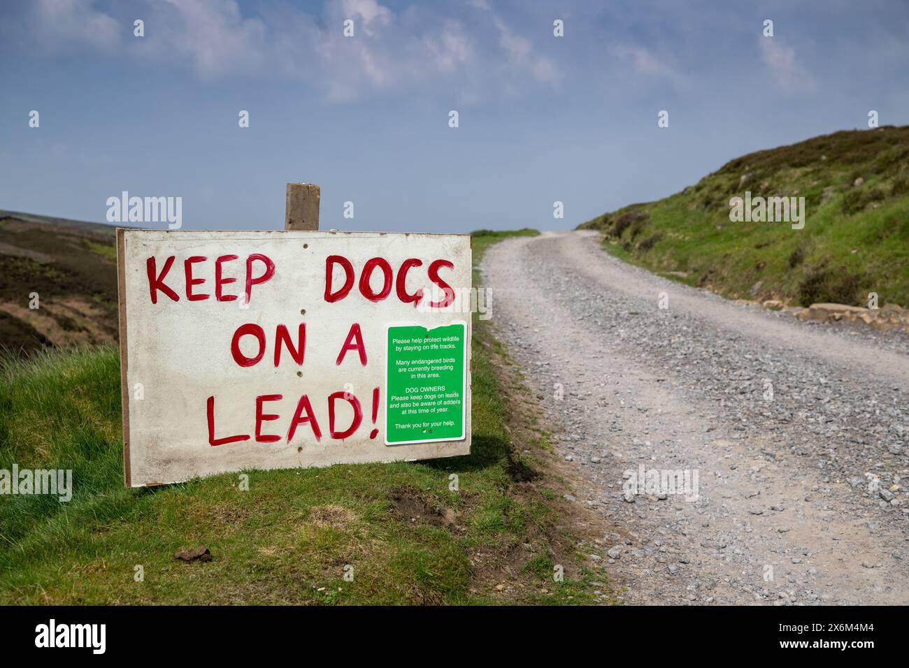 Le panneau d'avertissement « Keep Dogs on Leads » (garder les chiens sur les pistes) sur les landes permet d'éviter que les moutons s'inquiètent et de protéger les oiseaux qui reproduisent au sol sur les landes. North Yorkshire, Royaume-Uni. Banque D'Images