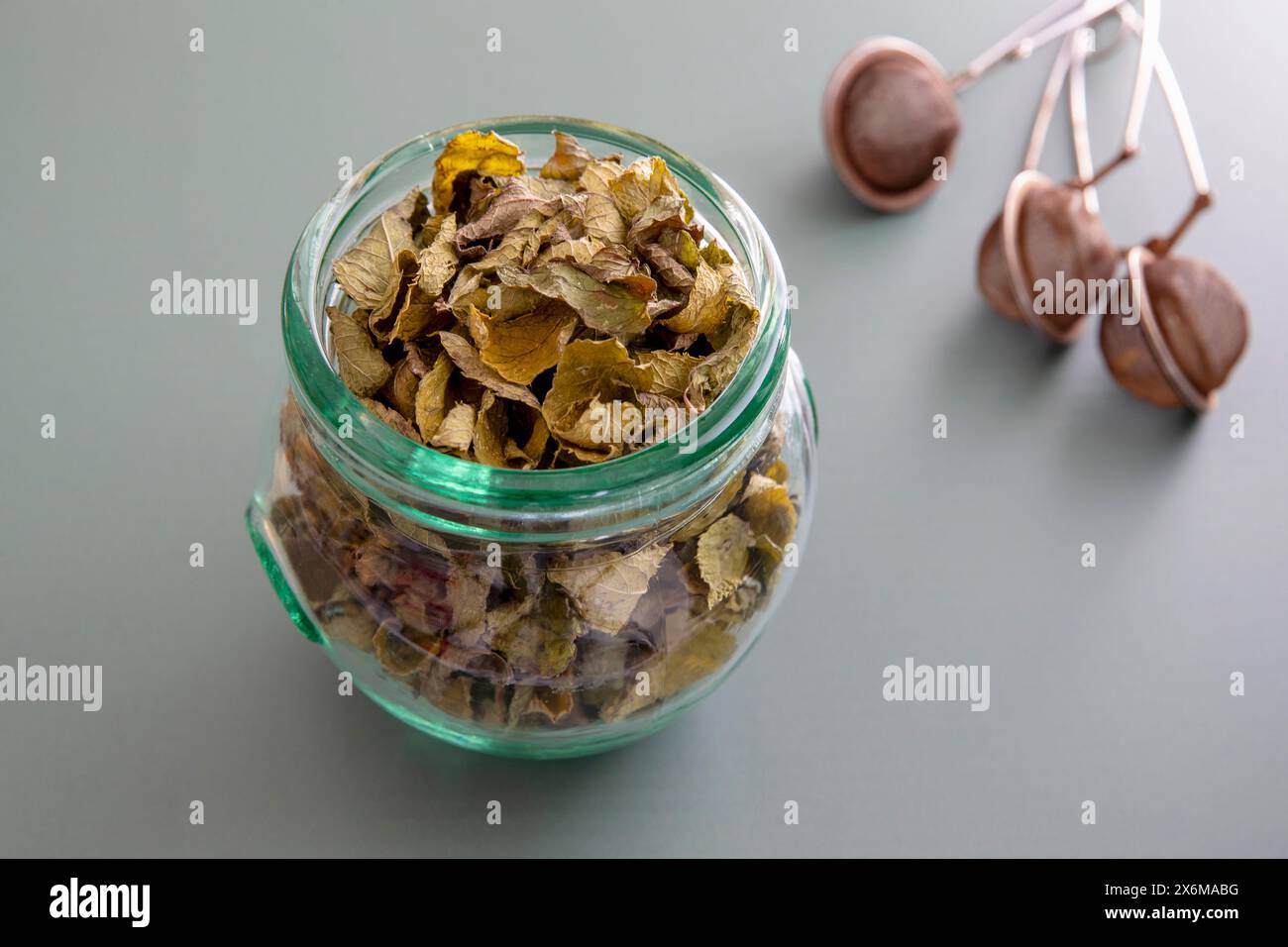 Feuilles de menthe marocaine séchées Banque D'Images