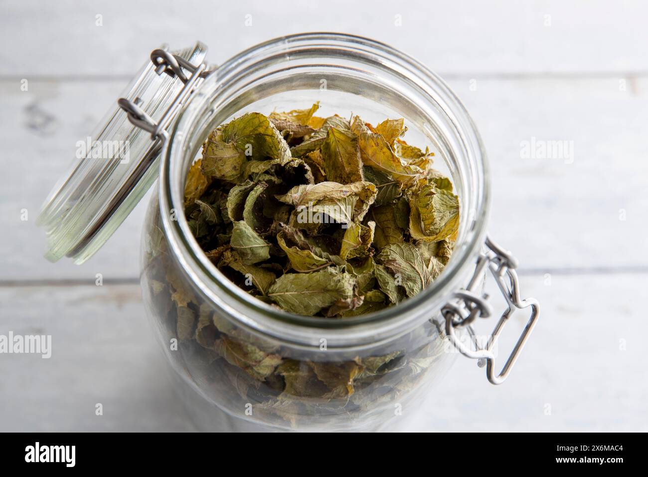 Feuilles de menthe marocaine séchées Banque D'Images