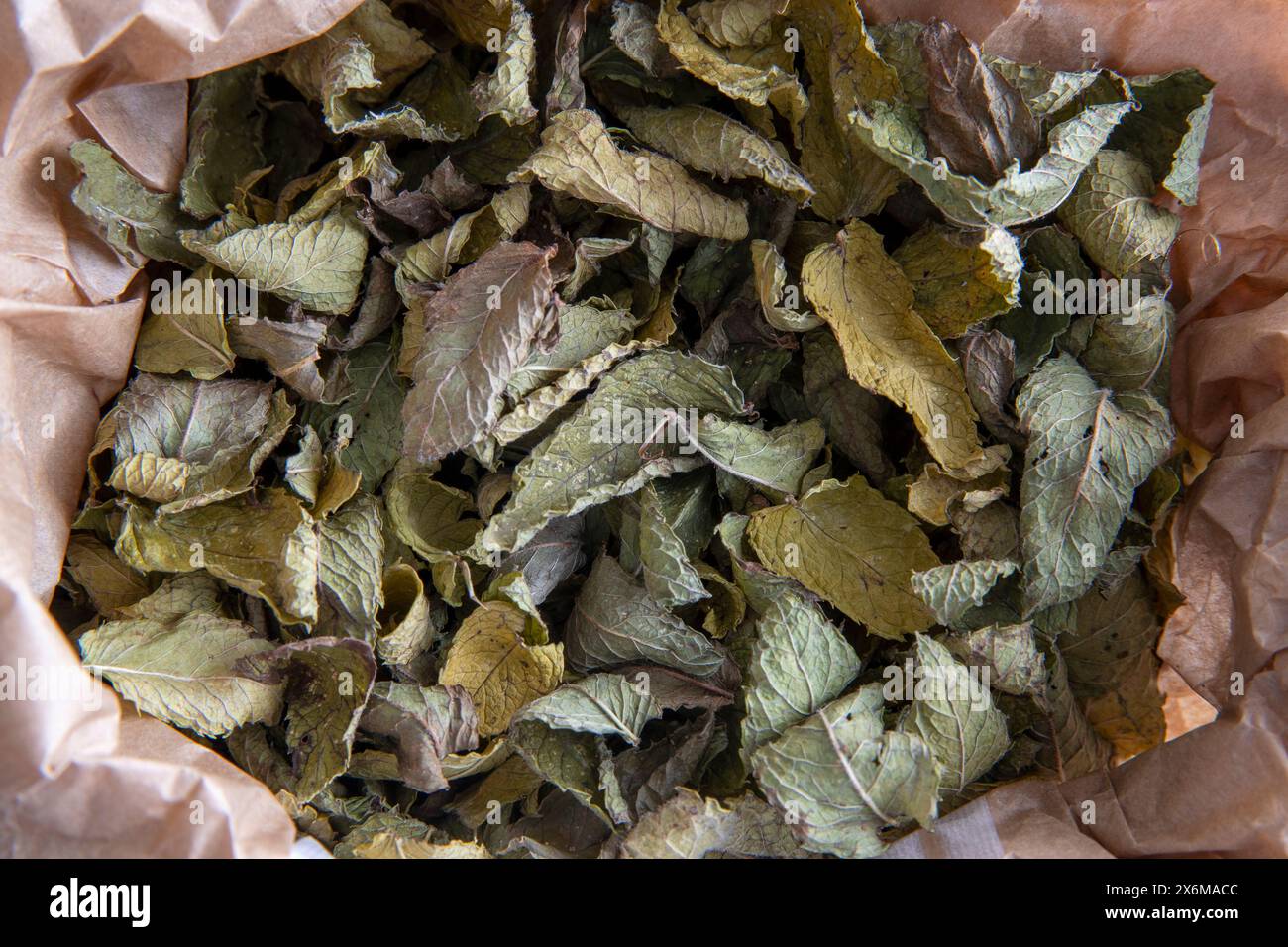Feuilles de menthe marocaine séchées pour le thé Banque D'Images