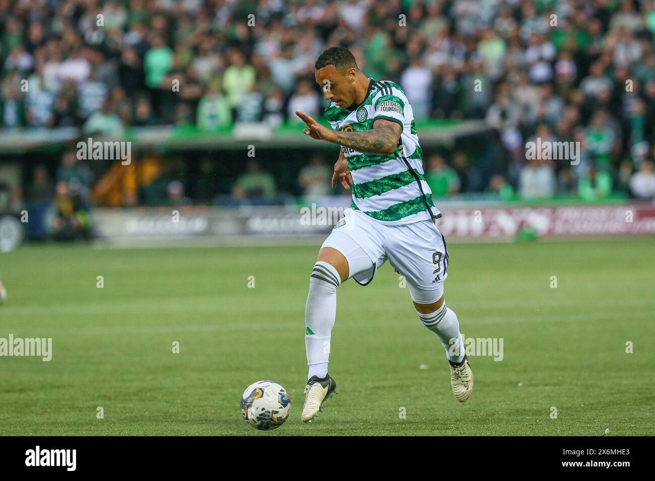 Kilmarnock, Royaume-Uni. 15 mai 2024. Kilmarnock tock sur Celtic à Rugby Park, Kilmarnock, Ayrshire, Écosse dans un Gane écossais de la première classe. Le jeu est important, car le Celtic n'a besoin que d'un point pour remporter le Scottish Premiership.title pour la 12ème fois. Le score final était Celtic 5 - 0 Kilmarnock . Les buts marqués par le Celtic sont les suivants : a Idah, 5 minutes : a, Maeda, 12 minutes, J Forrest, 35 min, M O-Riley 51 et 71 min. Crédit : Findlay/Alamy Live News Banque D'Images