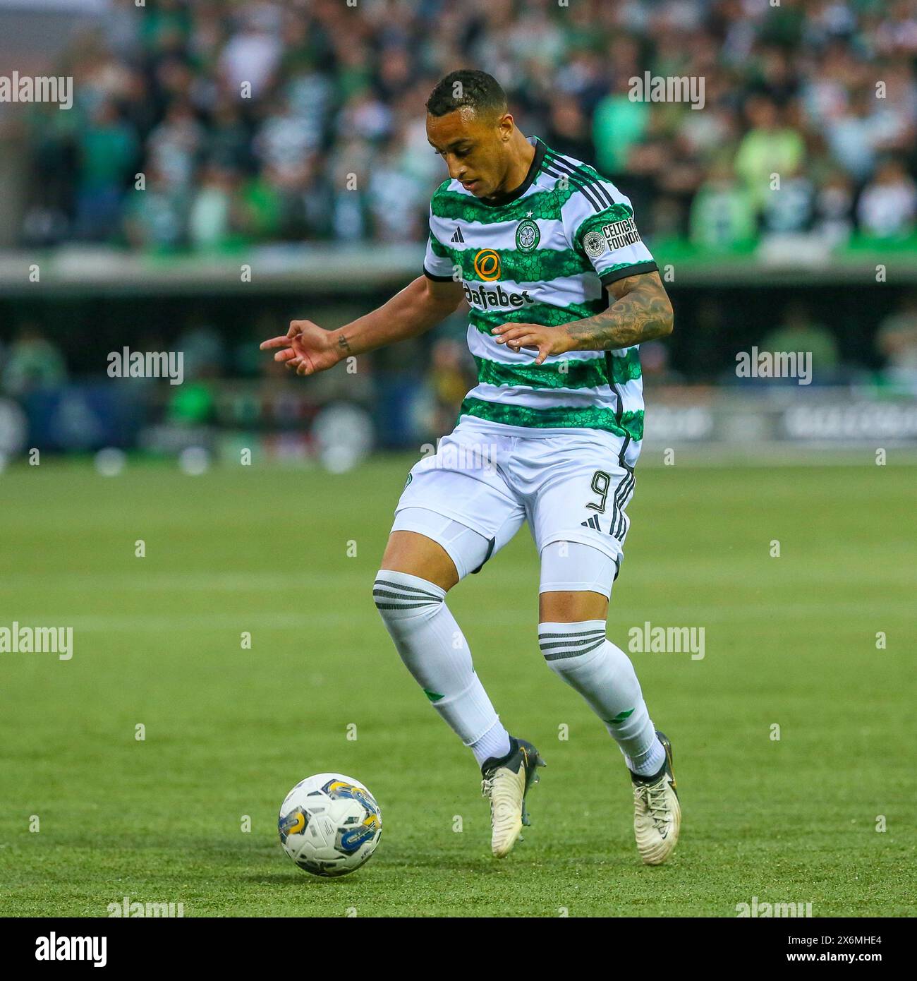 Kilmarnock, Royaume-Uni. 15 mai 2024. Kilmarnock tock sur Celtic à Rugby Park, Kilmarnock, Ayrshire, Écosse dans un Gane écossais de la première classe. Le jeu est important, car le Celtic n'a besoin que d'un point pour remporter le Scottish Premiership.title pour la 12ème fois. Le score final était Celtic 5 - 0 Kilmarnock . Les buts marqués par le Celtic sont les suivants : a Idah, 5 minutes : a, Maeda, 12 minutes, J Forrest, 35 min, M O-Riley 51 et 71 min. Crédit : Findlay/Alamy Live News Banque D'Images