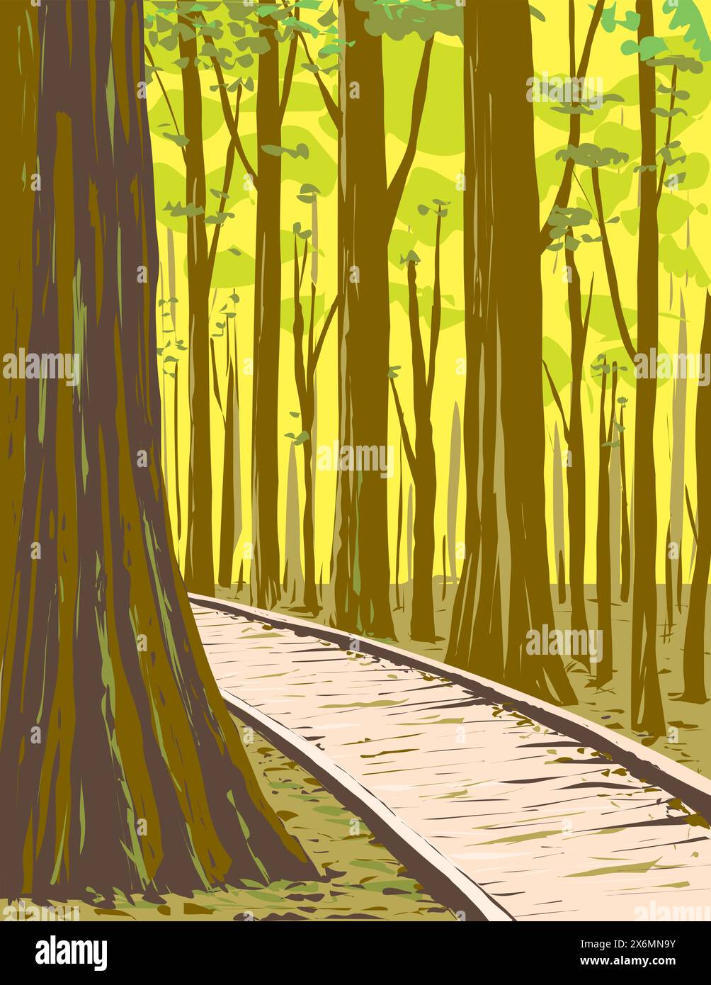 WPA affiche art de la forêt de feuillus de fond de forêt ancienne de croissance dans Congaree National Park dans le centre de la Caroline du Sud États-Unis fait dans les travaux d'administration du projet o Illustration de Vecteur