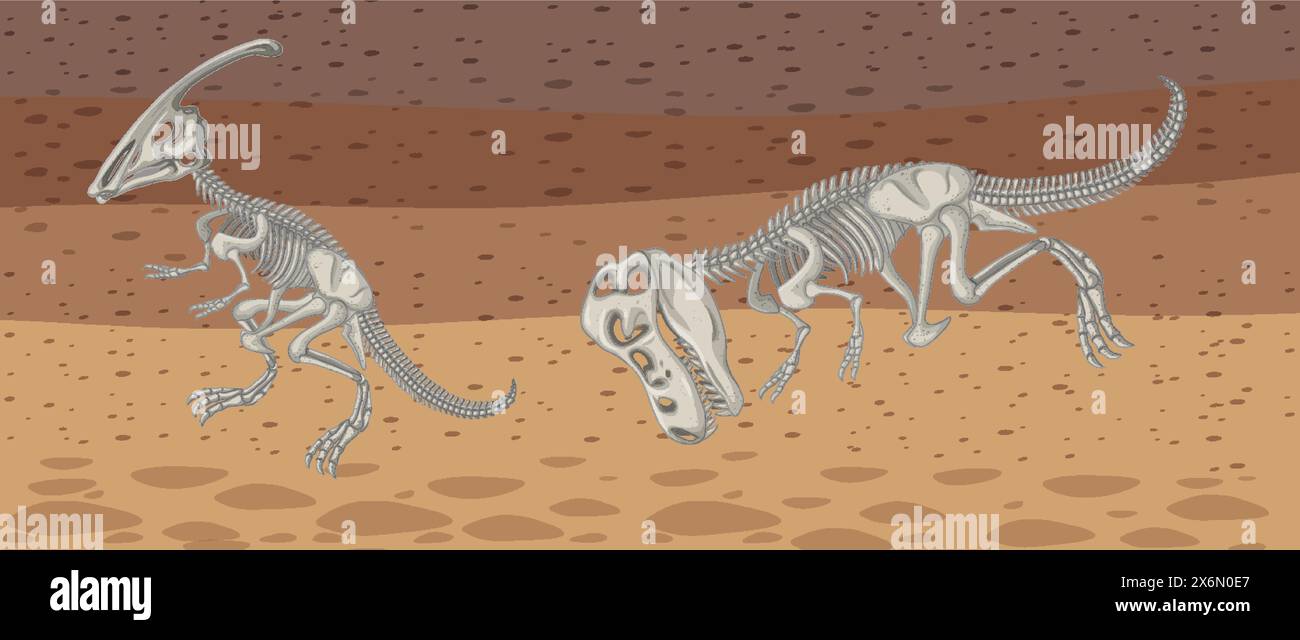 Illustration vectorielle de deux squelettes de dinosaures Illustration de Vecteur