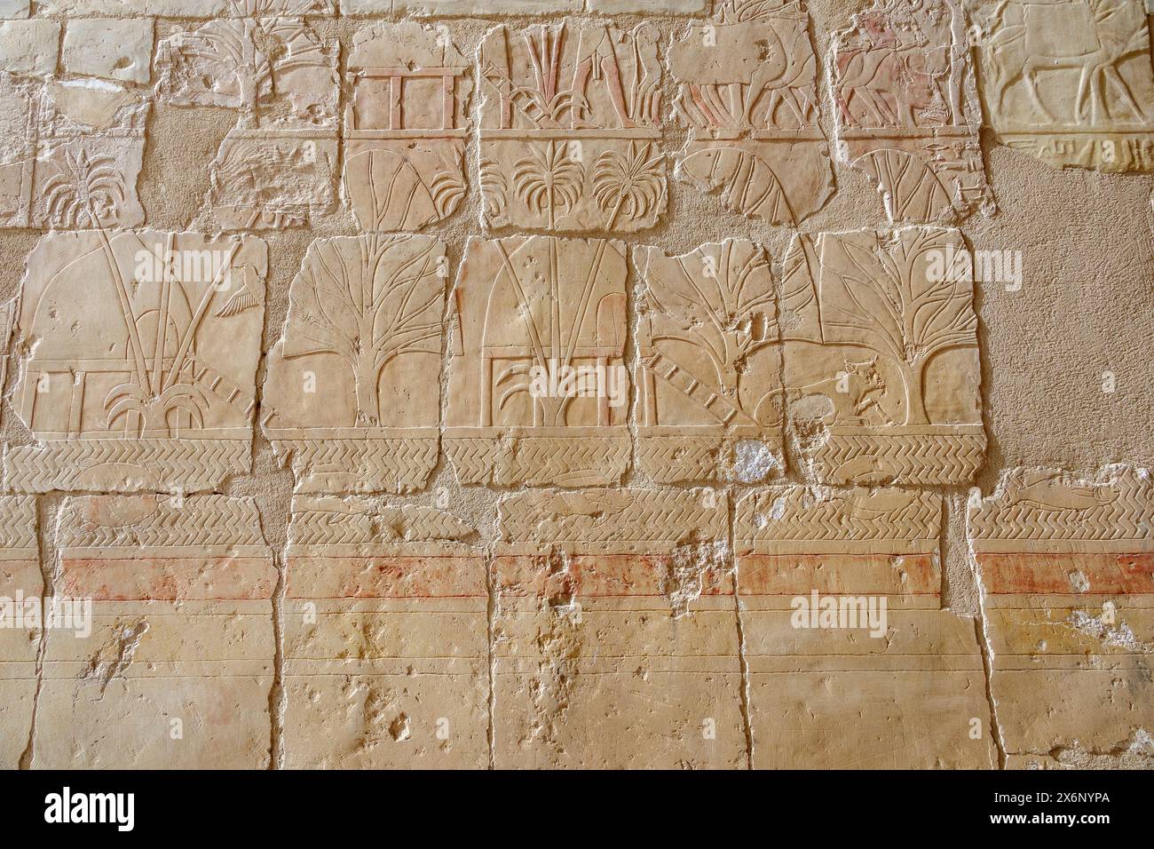 Reliefs de punt au Temple de Hatshepsout à Deir el Bahari, Cisjordanie, Louxor Égypte Banque D'Images