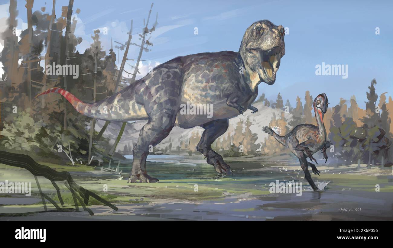 (240516) -- GUANGZHOU, 16 mai 2024 (Xinhua) -- cette photo montre une image restaurée de Tyrannosauroidea, un dinosaure prédateur bipède datant de 70 à 66 millions d'années. POUR ALLER AVEC «à travers la Chine : les dents fossilisées fournissent de nouveaux aperçus sur les dinosaures dans le sud de la Chine» (photo de Huang Jiali/Xinhua) Banque D'Images