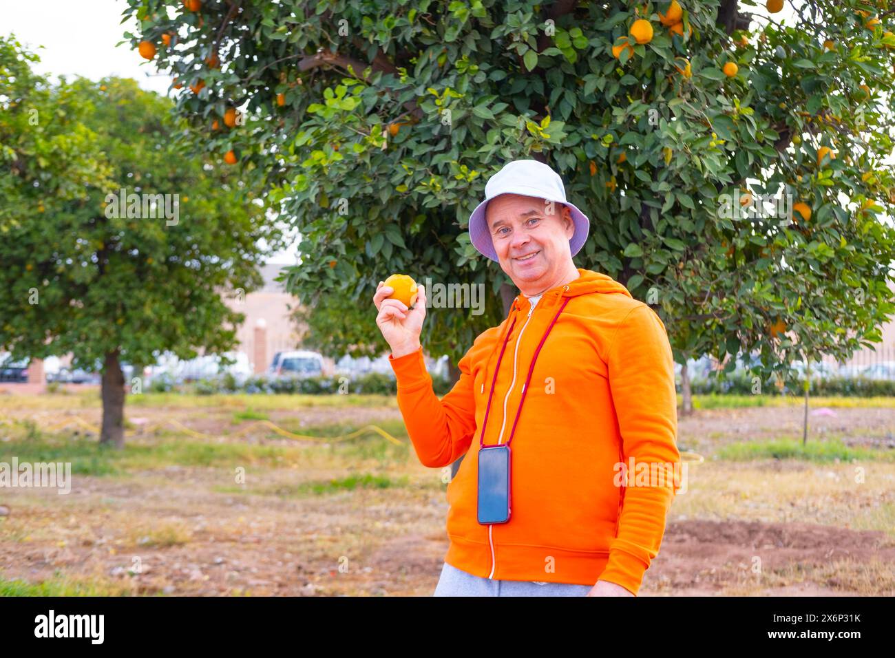 Touriste masculin au Maroc à côté de l'oranger dans le jardin public, tenant l'orange fraîchement cueillie, immersion culturelle, patrimoine agricole, plaisir simple Banque D'Images