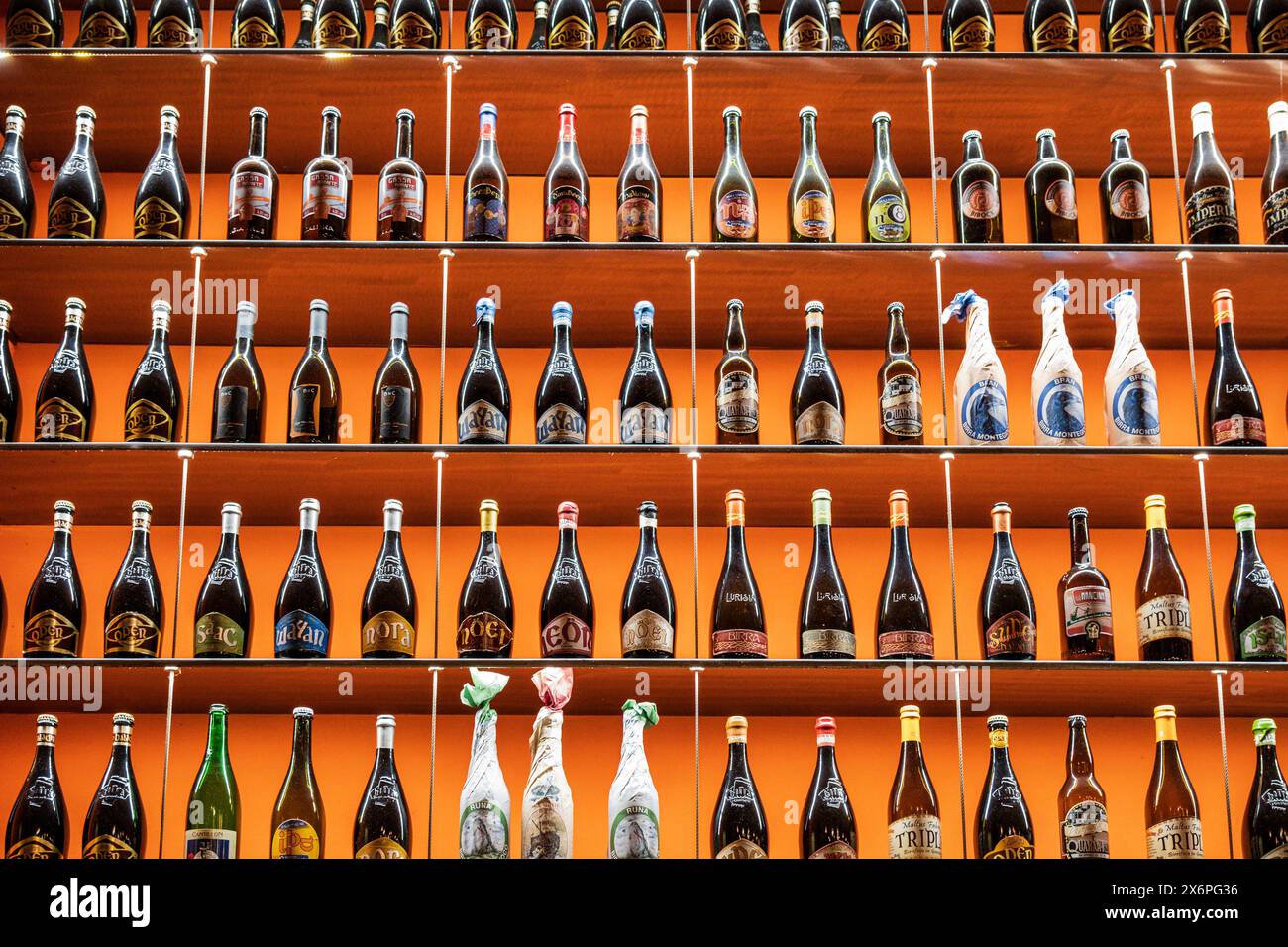 cerveceria tradicional, Roma, Lazio, Italie. Banque D'Images