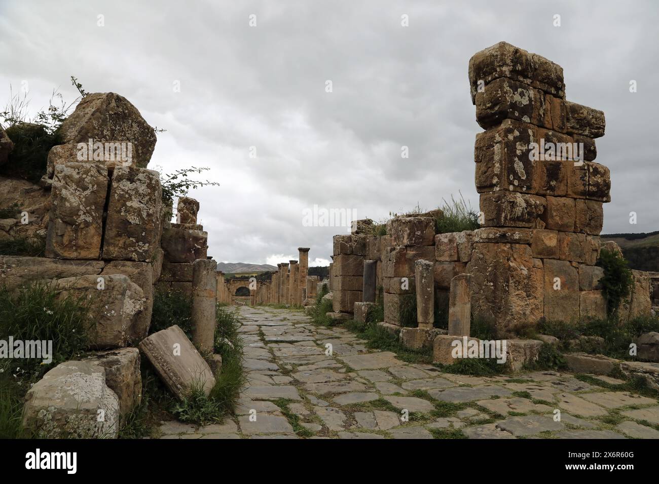 Cardo Maximus aux ruines romaines de Djemila en Algérie Banque D'Images