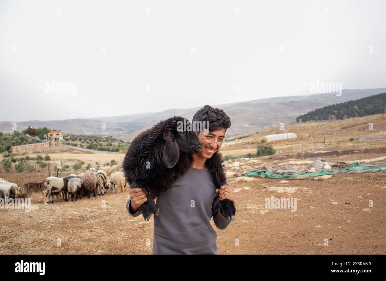 Jeune adolescent arabe tenant de petits moutons se sentant heureux et remerciant Dieu pour ses dons dans le désert Banque D'Images