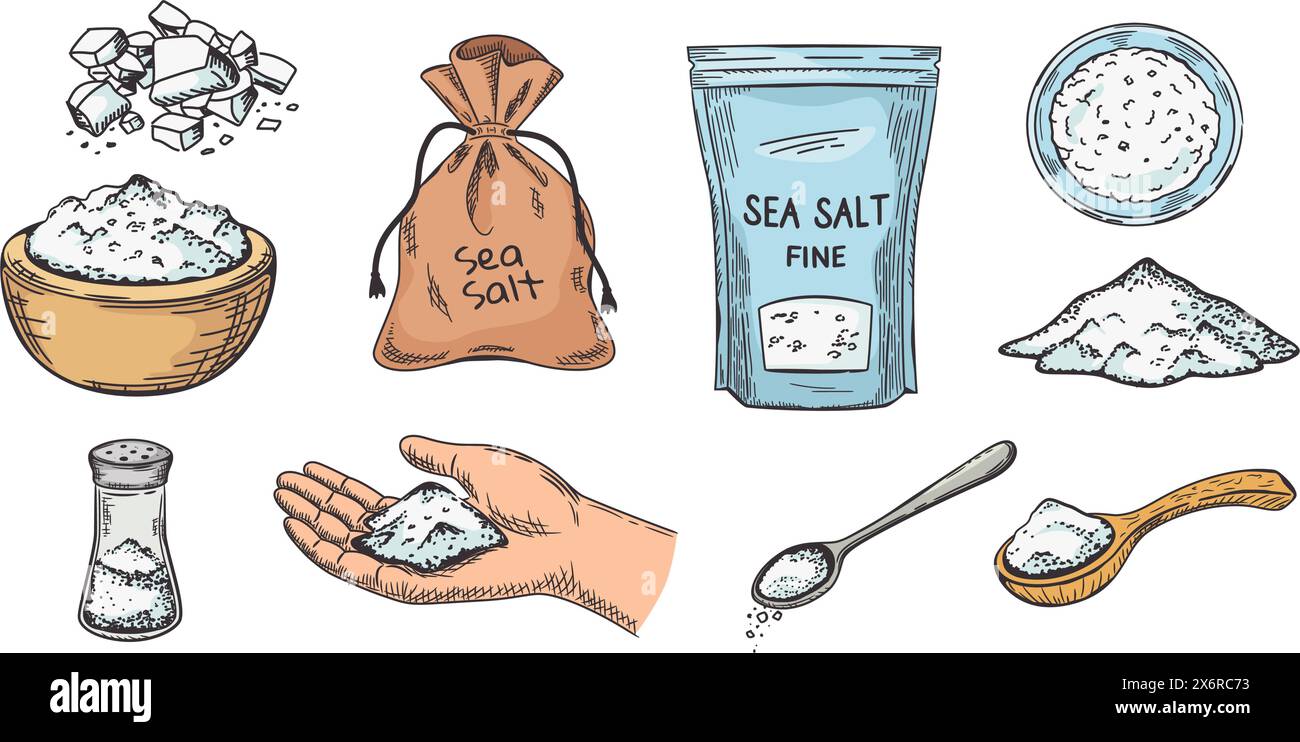 Sel dessiné à la main. Esquissez l'emballage de sel de mer, bol et cuillère en bois, shaker de sel et pincez dans l'ensemble de vecteur de main Illustration de Vecteur