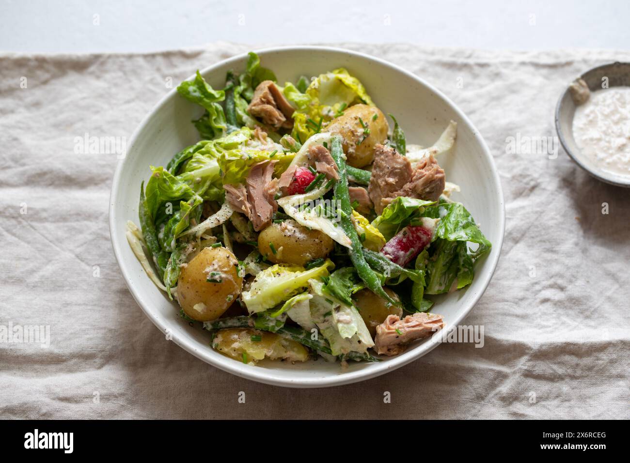 Salade de thon avec pommes de terre, laitue, haricots verts et radis Banque D'Images