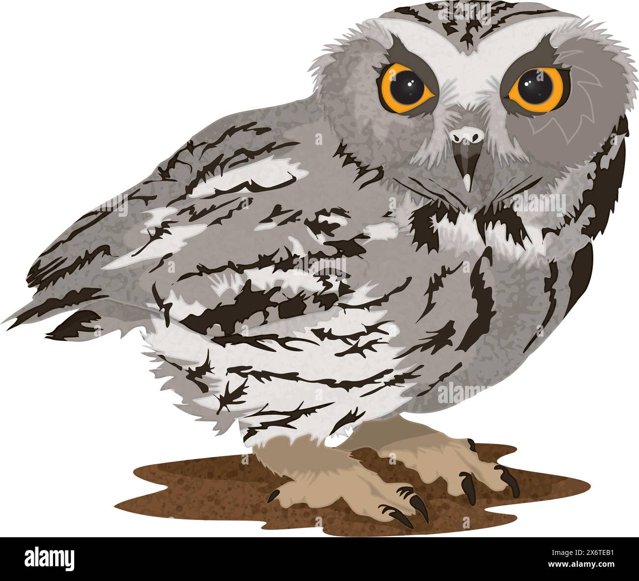 Western Screech Owl Illustration de Vecteur