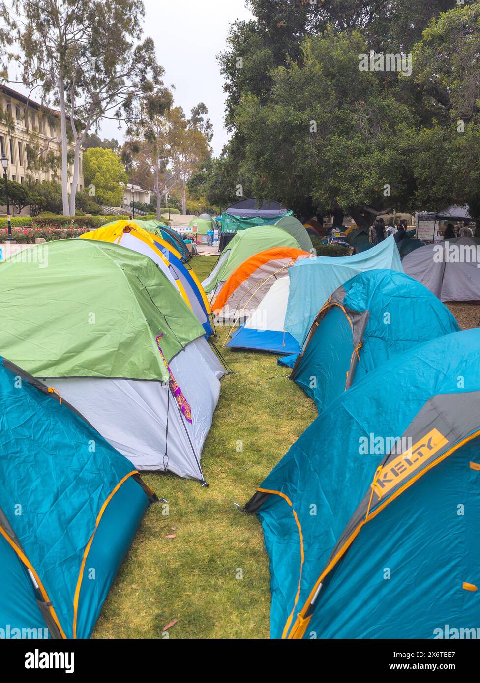 Los Angeles, CA - 30 avril 2024 : campement étudiant sur le campus de l'Occidental College Banque D'Images