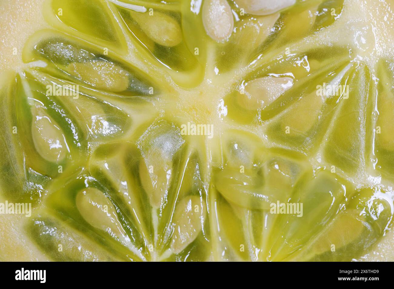 Melon africain à cornes (Cucumis metuliferus), fruit tranché Banque D'Images