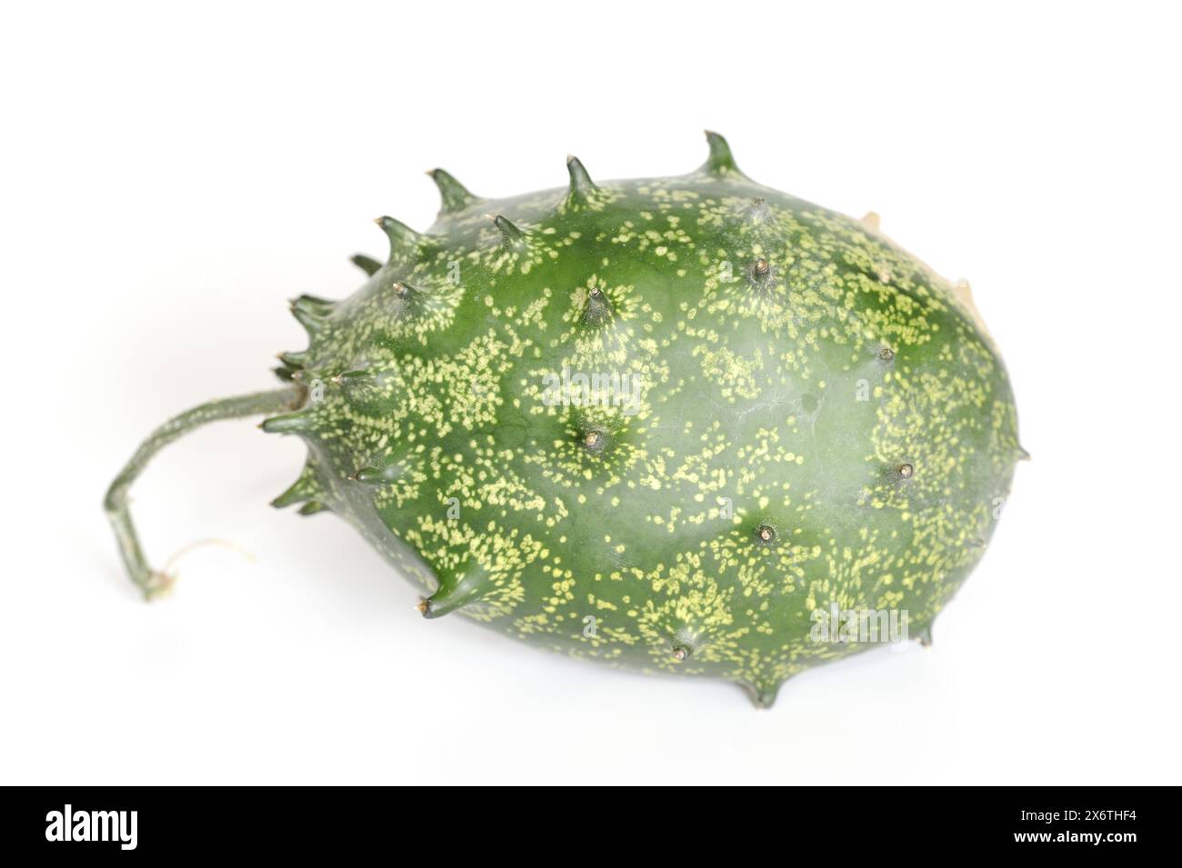 Melon africain à cornes (Cucumis metuliferus), fruit sur fond blanc Banque D'Images