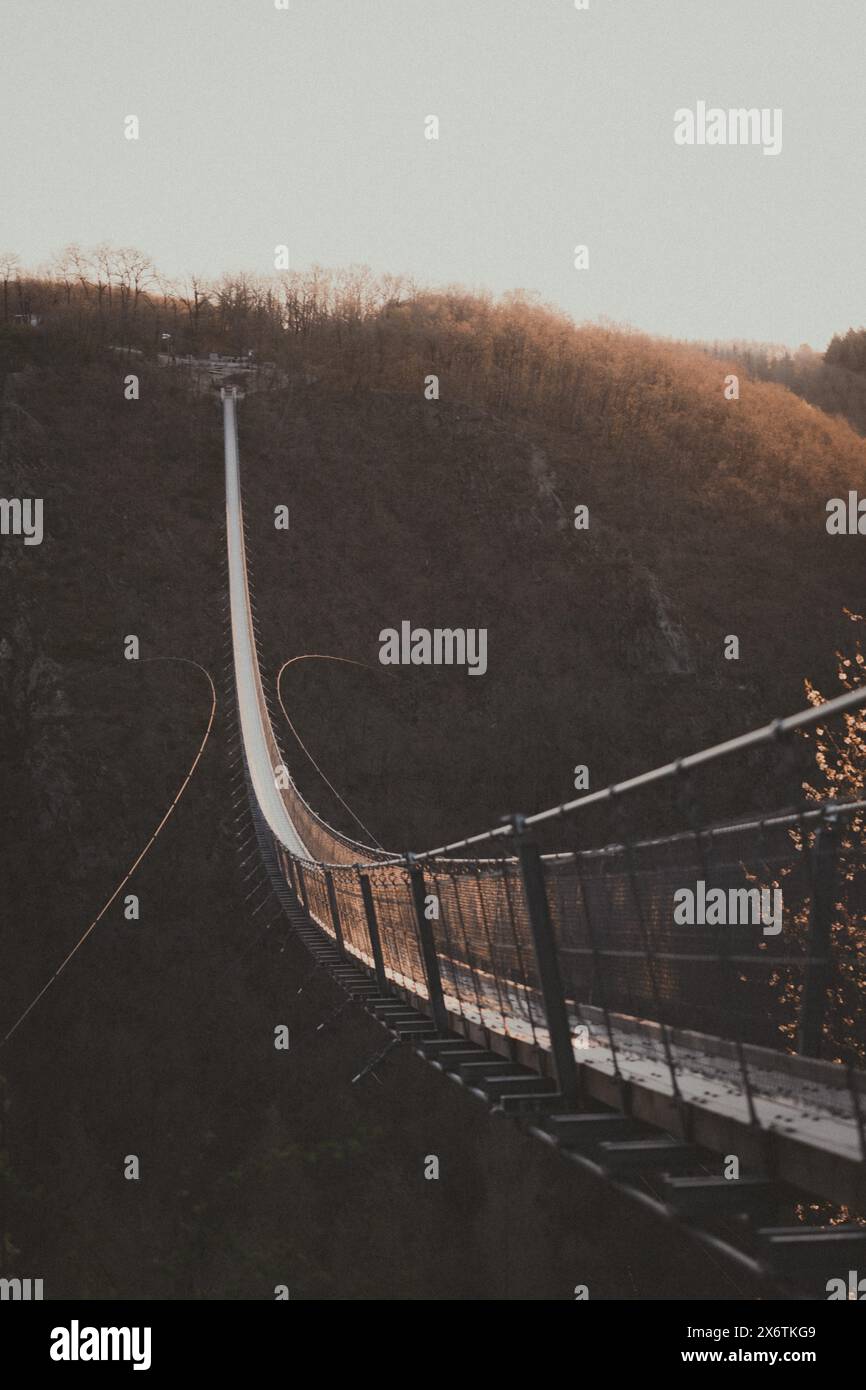Un pont mène à travers les arbres d'automne dans la lumière tamisée du crépuscule. Pont de corde suspendu Moersdorf, Allemagne Banque D'Images