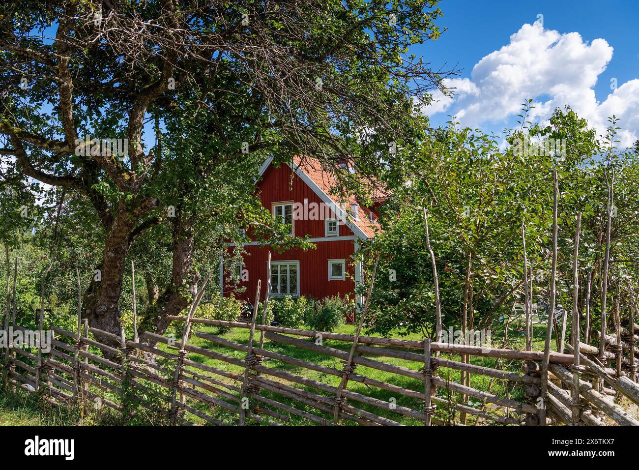 Maison avec jardin, lieu de naissance du naturaliste suédois Carl von Linne, Rashult Soedregard, paroisse de Stenbrohult, près d'Aelmhult Banque D'Images