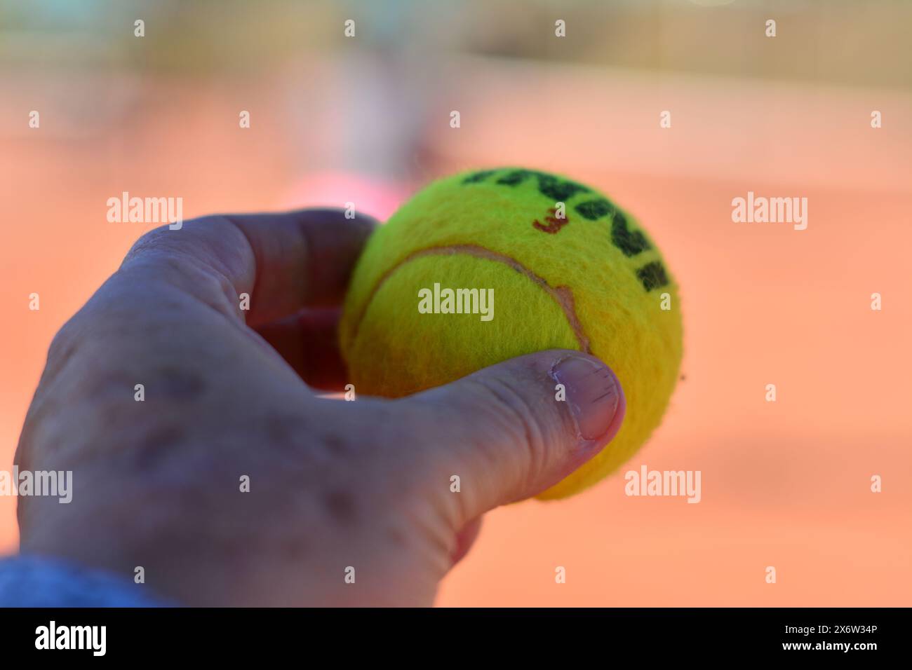 Balle de tennis jaune avec logo sur la balle elle-même dans les mains d'un entraîneur Banque D'Images