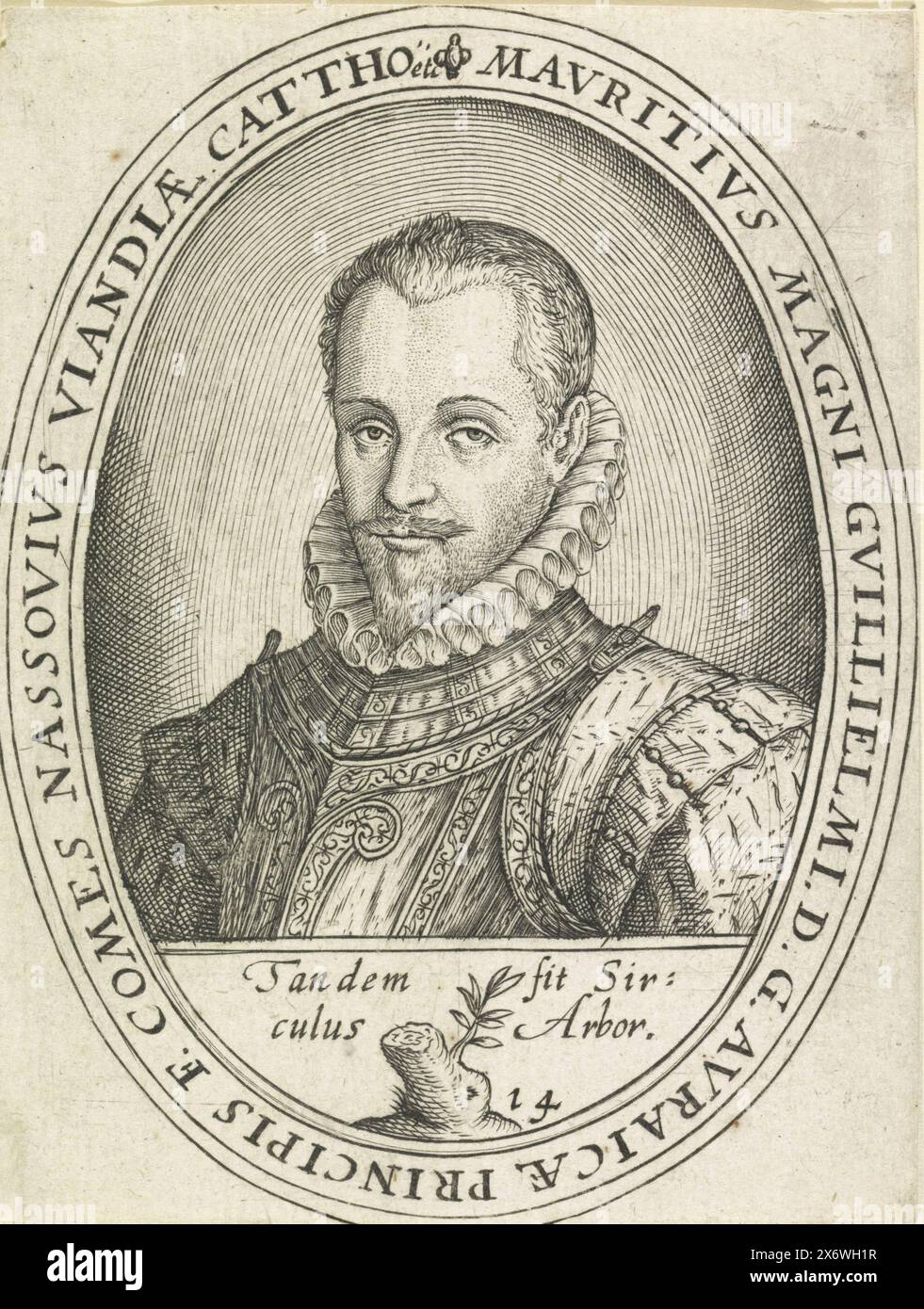 Portrait de Maurits, Prince d'Orange, Portrait de Maurits dans un ovale avec écriture de bordure. Dans un cadre l'arbre orange avec sa devise., print, print Maker : Anonymous, Low Countries, 1600 - 1699, papier, gravure, gravure, hauteur, 98 mm × largeur, 75 mm Banque D'Images