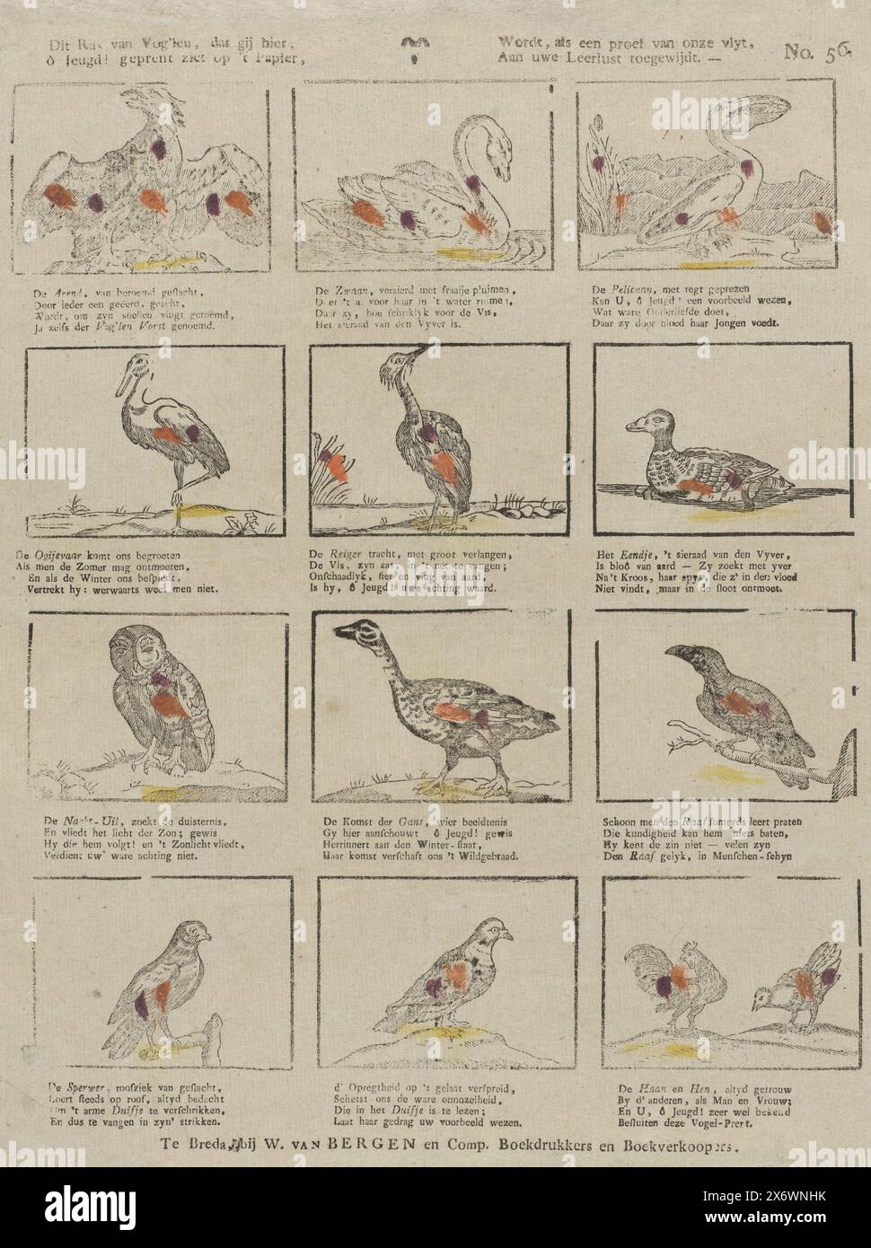 Cette race d'oiseaux que vous ici, ô jeunesse! Imprimé sur le papier, sera, comme un test de notre passion, dédié à votre désir d'apprendre (titre sur objet), feuille avec 12 représentations d'oiseaux, comme un cygne, un hibou et une colombe. Sous chaque image un verset de quatre lignes. Numéroté en haut à droite : No. 56., impression, éditeur : W. van Bergen, (mentionné sur l'objet), imprimeur : Anonymous, Breda, 1818 - 1828, papier, impression typographique, hauteur, 383 mm × largeur, 334 mm Banque D'Images