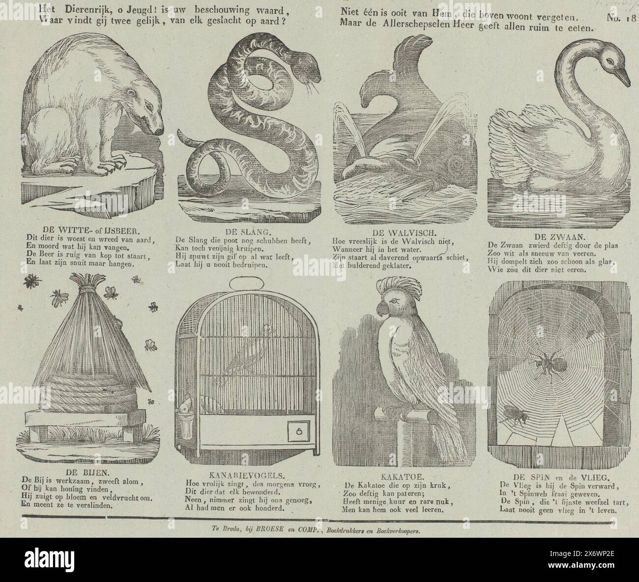 Le règne animal, ô jeunesse ! Est digne de votre contemplation, où pouvez-vous trouver deux semblables, de chaque génération sur la terre?, personne n'a jamais été oublié de celui qui habite au-dessus., mais le Seigneur de toutes les créatures donne beaucoup à manger à tous (titre sur l'objet), feuille avec 8 représentations d'animaux, dont un ours polaire, un serpent et un cacatoès. Sous chaque représentation il y a un titre et un couplet de quatre lignes. Numéroté en haut à droite : No. 18., imprimé, éditeur : Broese & Comp., (mentionné sur l'objet), imprimeur : Anonymous, Breda, 1828 - 1853, papier, impression typographique, hauteur, 331 mm × largeur, 423 mm Banque D'Images